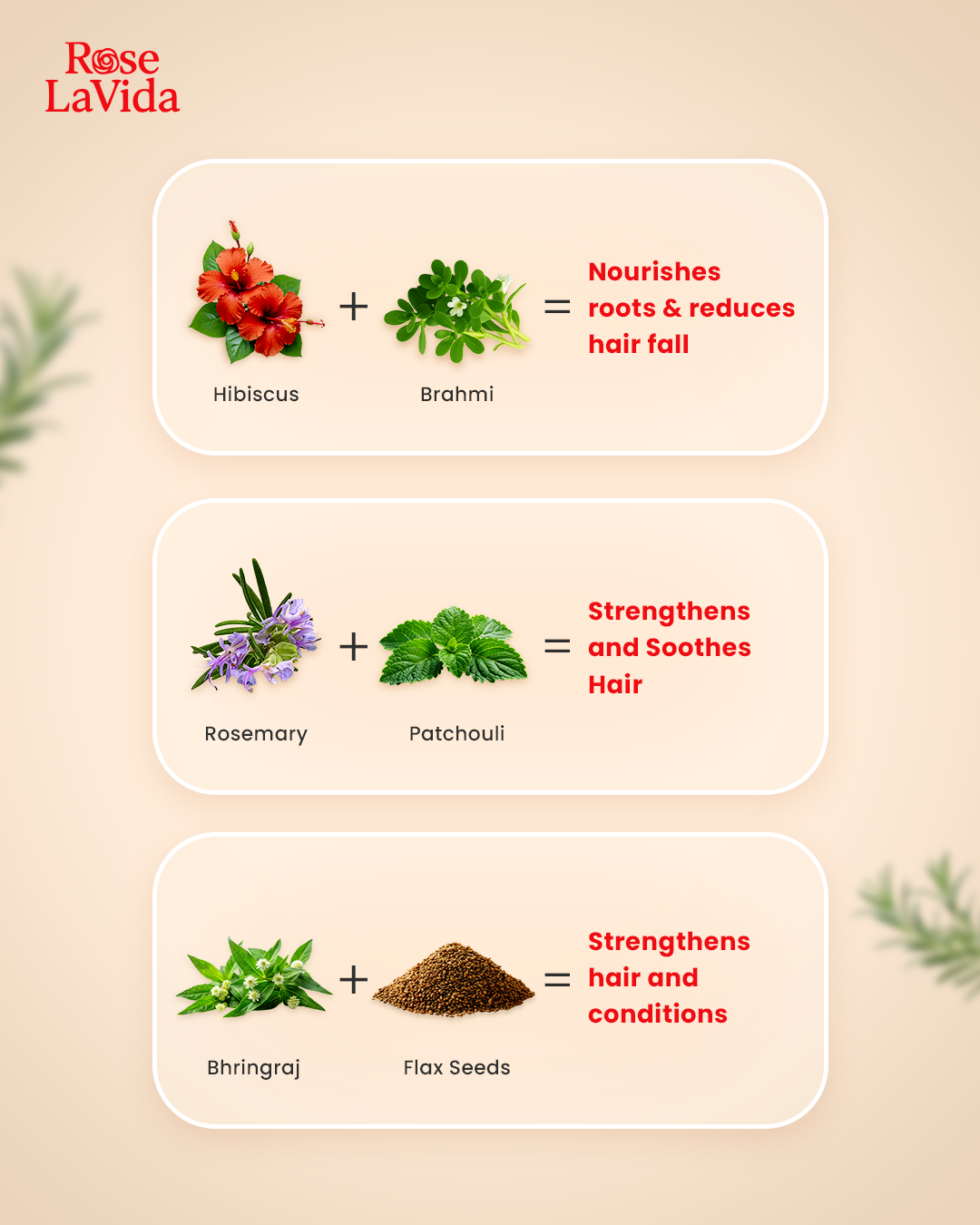 Rosemary Strength & Shine 2 in 1 Shampoo + Conditioner for Hair fall Control | For All Hair Types | Women & Men