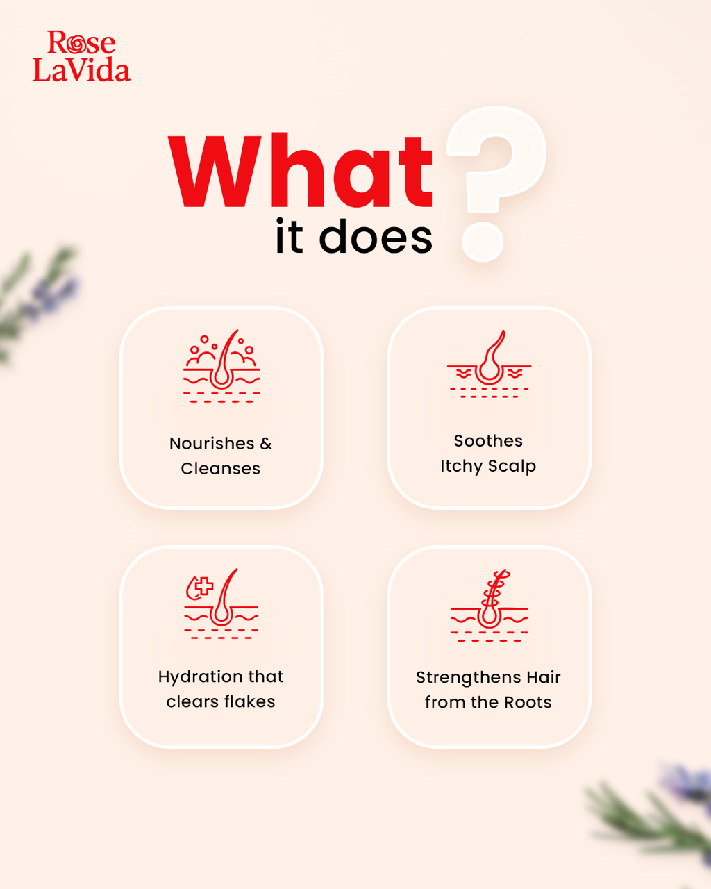 Nature’s 2-in-1 Haircare Combo